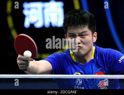 (201121) -- ZHENGZHOU, 21 novembre 2020 (Xinhua) -- Fan Zhendong della Cina restituisce la palla durante la partita semifinale maschile singles tra Fan Zhendong della Cina e Jang Woojin della Corea del Sud a 2020 finali ITTF a Zhengzhou, capitale della provincia di Henan della Cina centrale, 21 novembre 2020. (Xinhua/li AN) Foto Stock