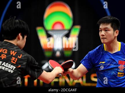 (201121) -- ZHENGZHOU, 21 novembre 2020 (Xinhua) -- Fan Zhendong (R) della Cina saluta Jang Woojin della Corea del Sud dopo la semifinale maschile tra Fan Zhendong della Cina e Jang Woojin della Corea del Sud alle finali ITTF 2020 a Zhengzhou, capitale della provincia di Henan della Cina centrale, 21 novembre 2020. (Xinhua/li AN) Foto Stock