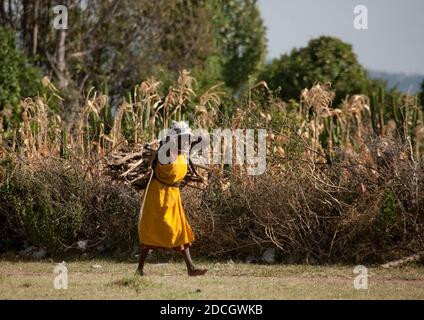 Donna keniota che porta un po' di legno sulla schiena, Rift Valley Province, Maasai Mara, Kenya Foto Stock