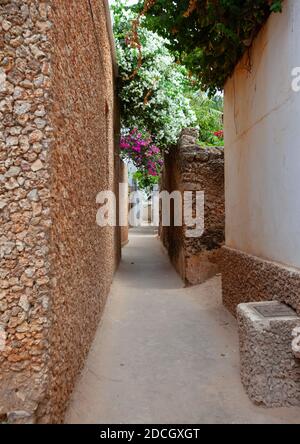 Vicolo nel villaggio, Lamu County, Shela, Kenya Foto Stock