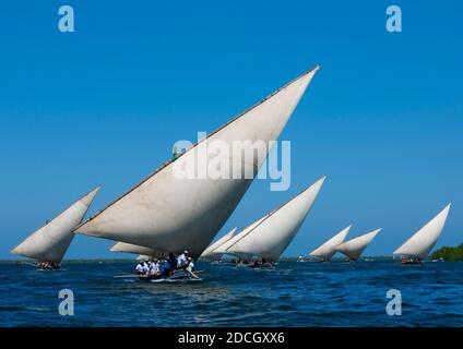 Gara di dhow durante il festival Maulid, Lamu County, Lamu, Kenya Foto Stock