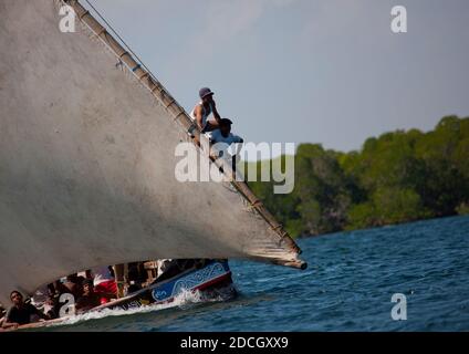 Gara di dhow durante il festival Maulid, Lamu County, Lamu, Kenya Foto Stock