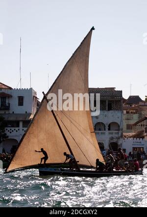 Gara di dhow durante il festival Maulid, Lamu County, Lamu, Kenya Foto Stock