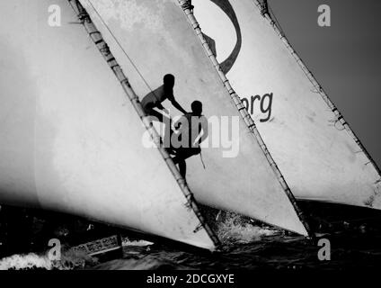 Gara di dhow durante il festival Maulid, Lamu County, Lamu, Kenya Foto Stock