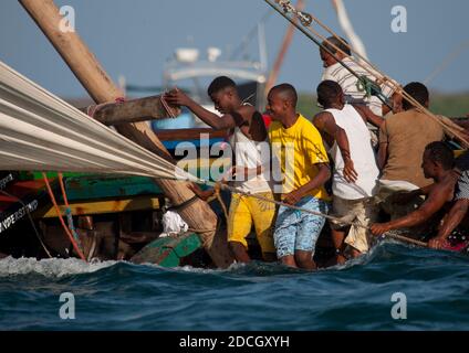 Gara di dhow durante il festival Maulid, Lamu County, Lamu, Kenya Foto Stock