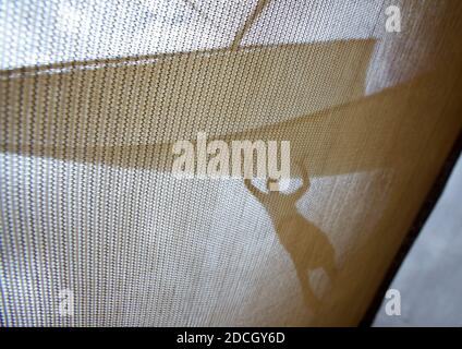 Uomo che alza la vela su un dhow, Lamu County, Lamu, Kenya Foto Stock