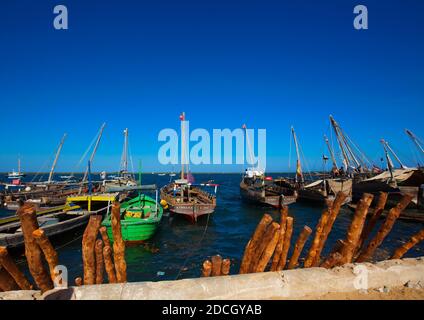 Mangrovie legno sul porto, Lamu County, Lamu, Kenya Foto Stock