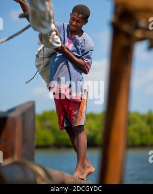 Giovane uomo che si prende cura della vela su un dhow, Lamu contea, Lamu, Kenya Foto Stock