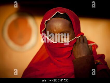 Ritratto di una donna musulmana della tribù Borana che nasconde il suo volto con un velo, Marsabit County, Marsabit, Kenya Foto Stock