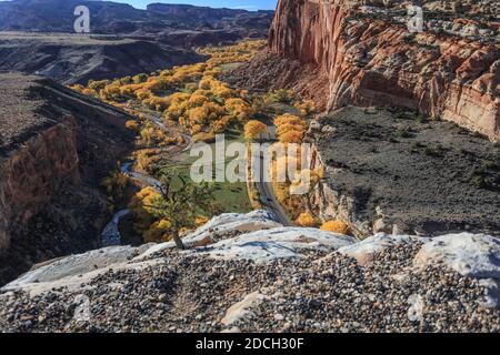 Il Capitol Reef National Park si trova al centro della WaterPocket Fold, lunga 100 chilometri, che è stata erosa in alcuni dei più bei paesaggi degli Stati Uniti. Foto Stock