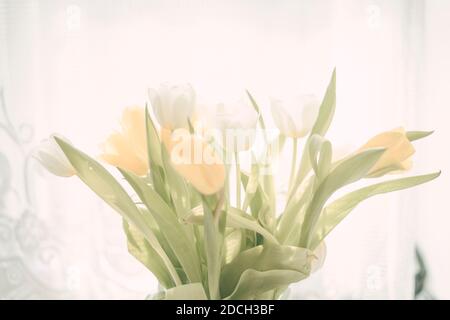 bel bouquet di tulipani gambi verdi fiori gialli e bianchi gemme Foto Stock