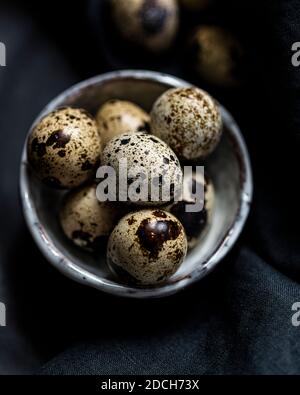 Uova di quaglia in ciotola bianca su sfondo nero, uova di quaglia, mucchio di uova di quaglie in ciotola, uova macchiate, uova macchiate in ciotola, uova di quaglia su sfondo scuro Foto Stock