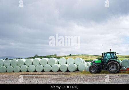 Balle di fieno rotolate in campo da coltivatore e trattore per la raccolta Foto Stock