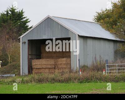 Leysdown, Kent, Regno Unito. 21 Novembre 2020. Un raro 'De Lorean' l'auto resa famosa dal film 'Torna al futuro' è stato avvistato a Leysdown, Kent questo pomeriggio. Questa particolare auto era una volta di proprietà di Stephen Bowman del gruppo pop classico "Blake". Nel film la macchina si schianta in un fienile di paglia, e per coincidenza la macchina di oggi è stata avvistata guidando su una strada vicino ad un fienile pieno di paglia. Credit: James Bell/Alamy Live News Foto Stock