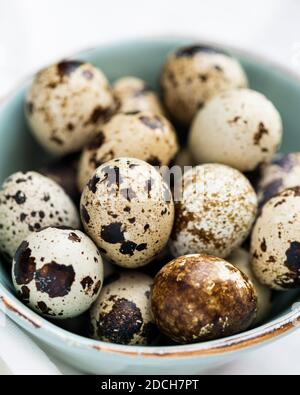 Uova di quaglia in ciotola verde, uova di quaglia, mucchio di uova di quaglie in ciotola, ciotola piccola piena di uova piccole, uova macchiate in ciotola, uova di quaglia in ciotola Foto Stock