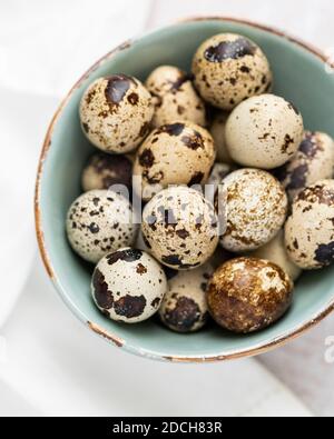 Uova di quaglia in ciotola verde, uova di quaglia, mucchio di uova di quaglie in ciotola, ciotola piccola piena di uova piccole, uova macchiate in ciotola, uova di quaglia in ciotola Foto Stock