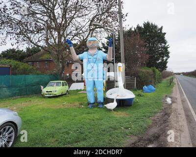 Leysdown, Kent, Regno Unito. 21 Novembre 2020. Un'oca è diventata il migliore amico con una vecchia corsa in barca 'swan Boat', che è ora situato fuori dal Bay View Garden Center vicino a Leysdown in Kent. L'oca è regolarmente visto seduto con il cigno di plastica molto più grande. Nelle vicinanze si trova anche il 'Leysdown Giant', decorato a sostegno del NHS. Credit: James Bell/Alamy Live News Foto Stock