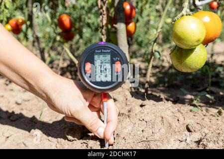 Misurazione della temperatura del suolo, del contenuto di umidità, dell'umidità ambientale e dell'illuminazione in un orto Foto Stock