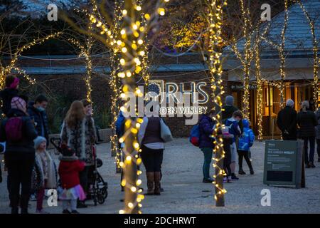 Code la prima notte del RHS Garden Wisley's Glow Illuminations show, Surrey, Inghilterra, Regno Unito. 21 Nov 2020. L'immagine mostra le famiglie che si accingono ad entrare a Glow al Giardino RHS Wisley che ancora Passi pure questo Natale nonostante il coronavirus. I diversi giardini di RHS Wisley includono il Giardino della roccia, il Pinetum e la passeggiata della Wisteria, tutti illuminati da scintillanti luci di Natale da ammirare. Credit: Jeff Gilbert/Alamy Live News Foto Stock