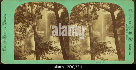 Lago di Auburn., immagine fissa, Stereographs, 1850 - 1930, Wilkinson, O. R. Foto Stock