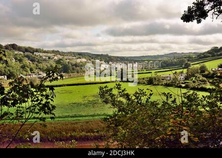 Viadotto ferroviario Calstock sul fiume Tamar. Foto Stock