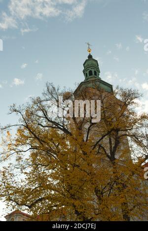 Albero giallo d'autunno vicino al Monastero di Strahov a Praga. Foto Stock