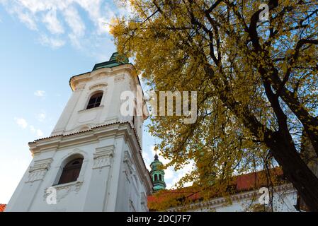 Albero giallo d'autunno vicino al Monastero di Strahov a Praga. Foto Stock