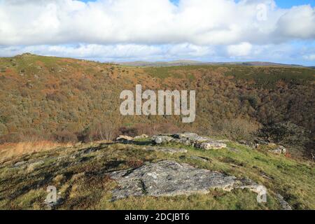 Vista autunnale da Bench Tor, attraverso Dart Gorge verso Holne, Dartmoor National Park, Devon, Inghilterra, Regno Unito Foto Stock