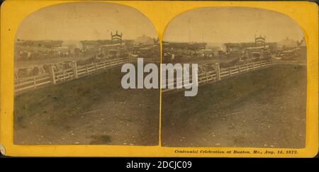 Centennial Celebration at Buxton, Me., 14 agosto 1872, Still Image, Stereographs, 1872, Towle, S. (Simon Foto Stock