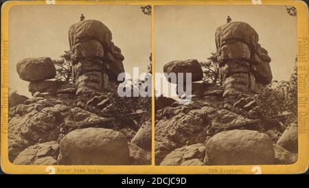 The Elephant., immagine fissa, Stereographs, 1875, Collier, James Foto Stock