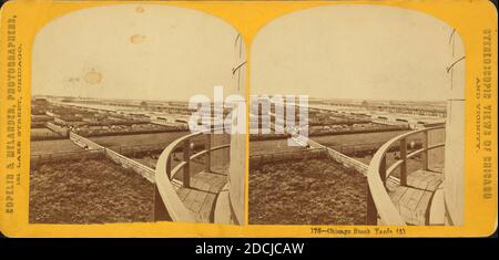 Chicago Stock Yards [stockyards]., still image, Stereographs, 1850 - 1930, Copelin & Melander Foto Stock