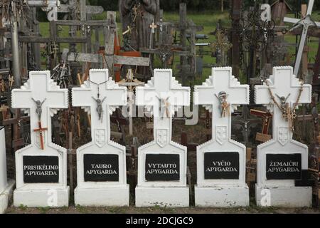 Croci bianche installate in memoria dei Fratelli della Foresta sulla collina delle croci vicino a Šiauliai in Lituania. I Fratelli della Foresta erano partigiani lituani che condusse la guerriglia contro il regime sovietico fino all'inizio degli anni '50. Il più importante luogo di pellegrinaggio lituano si trova a circa 12 km dalla città di Šiauliai. Nessuno ha mai provato a contare quante croci grandi e piccole sono effettivamente installate sulla collina, ma si ritiene che ci siano almeno duecentomila croci qui. E ogni giorno decine o addirittura centinaia di nuove croci vengono aggiunte da pellegrini provenienti da tutto il mondo Foto Stock