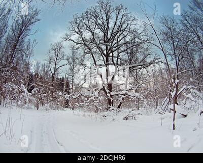 Paesaggi invernali Foto Stock