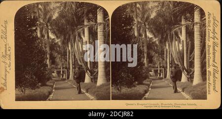 Queen's Hospital Grounds, Honolulu, Hawaii., immagine, Stereographs, 1850 - 1930 Foto Stock