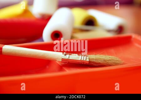Attrezzi per la riparazione a domicilio. Rulli in schiuma per colorazione parete in contenitore di plastica primo piano. Foto Stock