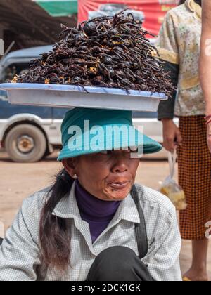 Cambogiani donna vendita di fritte tarantulas in Skuon Foto Stock