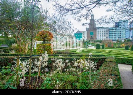 Awe giardino botanico nel centro di Bruxelles in fine autunno e piante bianche! Bellezza della natura nel cuore della grande città europea! Foto Stock