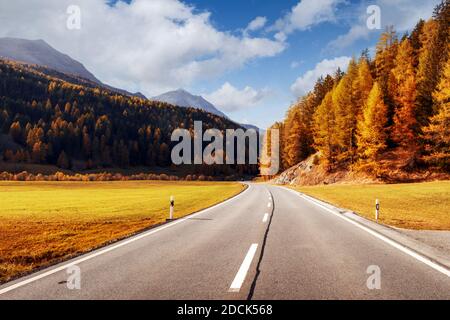 Fantastica vista della strada alpina, arancione bosco di larici e alte montagne sullo sfondo. La Svizzera, vicino alla frontiera italiana. Fotografia di paesaggi Foto Stock