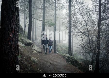 Giovane coppia di escursionisti che scende lungo il sentiero della foresta in una pesante giornata di nebbia. La gente cammina attraverso i boschi durante la fredda mattina invernale nel parco naturale Roque Nublo Foto Stock