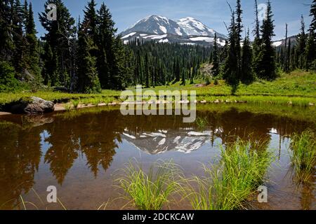 WA18387-00...WASHINGTON - piccolo tarn a Killen Appartamenti vicino al PCT / Highline Trail nella natura selvaggia di Mount Adams nella Foresta Nazionale di Gifford Pinchot. Foto Stock
