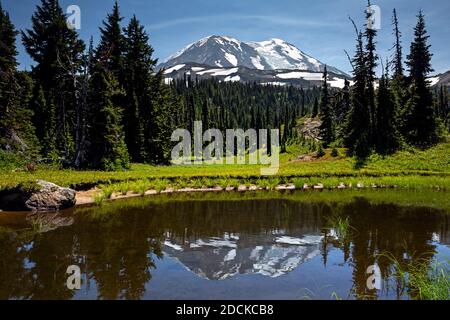 WA18389-00...WASHINGTON - piccolo tarn a Killen Flats vicino al PCT/Highline Trail nel Mount Adams Wilderness nella Gifford Pinchot National Forest. Foto Stock