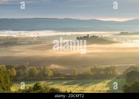 Agriturismo Poggio Covili con viale cipresso (Cupressus) all'alba, vicino a San Quirico d'Orcia, Val d'Orcia, Provincia di Siena, Toscana, Italia Foto Stock