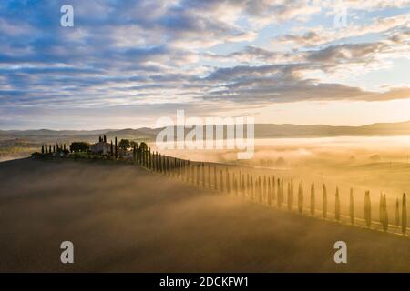 Agriturismo Poggio Covili con viale cipresso (Cupressus) all'alba, vicino a San Quirico d'Orcia, Val d'Orcia, Provincia di Siena, Toscana, Italia Foto Stock