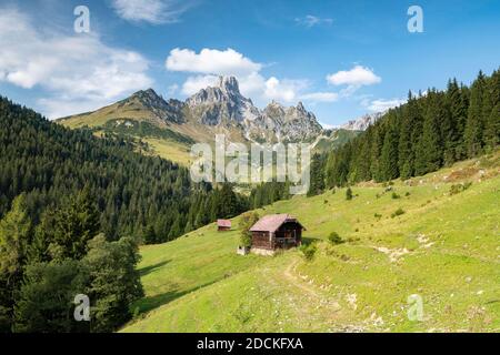 Il mitriere del Vescovo con alp in primo piano, Aualm, Filzmoos, Salisburgo, Austria Foto Stock