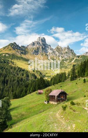 Il mitriere del Vescovo con alp in primo piano, Aualm, Filzmoos, Salisburgo, Austria Foto Stock