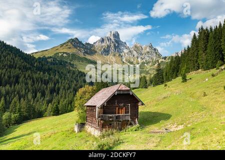 Il mitriere del Vescovo con alp in primo piano, Aualm, Filzmoos, Salisburgo, Austria Foto Stock