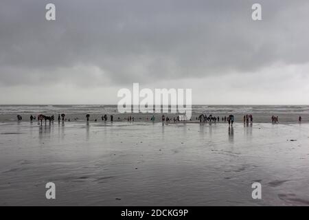 Bagnate sulla spiaggia dal bazar di Cox alla pioggia monsonica, la spiaggia della Baia del Bengala nel sud-est del Bangladesh è considerata con una lunghezza di 150 Foto Stock