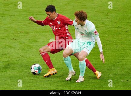 Monaco, Germania. 21 Nov 2020. Jamal MUSIALA, FCB 42 competere per la palla, affrontare, duello, testata, zweikampf, azione, lotta contro Joshua SARGENT, BRE 19 alla partita FC BAYERN MUENCHEN - SV WERDER BREMEN 1-1 nella Bundesliga 1.German, stagione 2020/2021, match day 8, Monaco, Germania, 21 novembre 2020. Credit: Peter Schatz/Alamy Live News Foto Stock