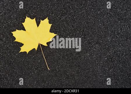 Una foglia d'acero gialla d'autunno che giace sull'asfalto Foto Stock