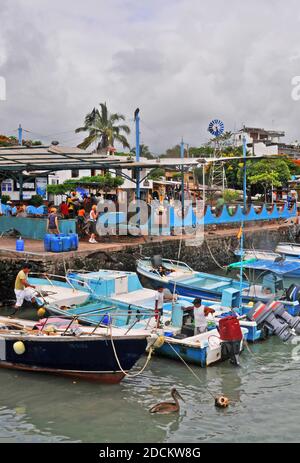 Mercato del pesce, Puerto Ayora, Santa Cruz isola, isole Galapagos, Ecuador Foto Stock